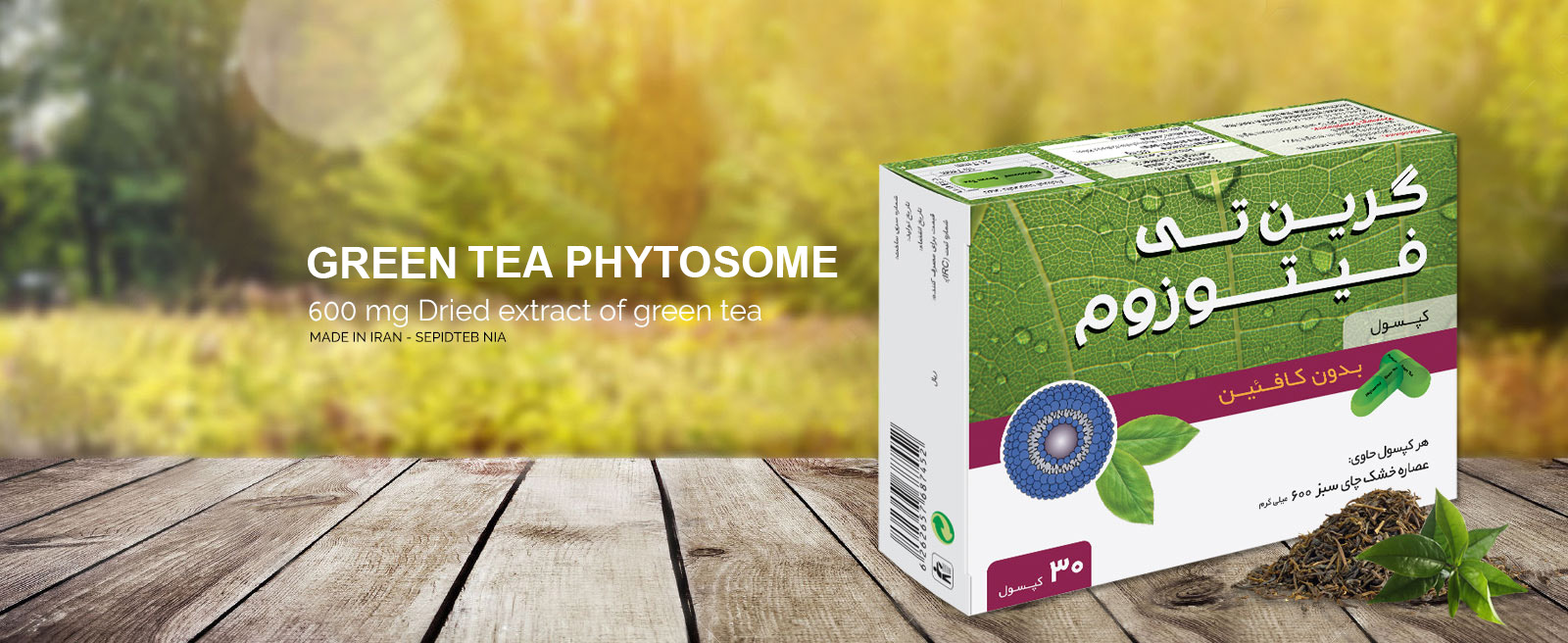 Phytosome